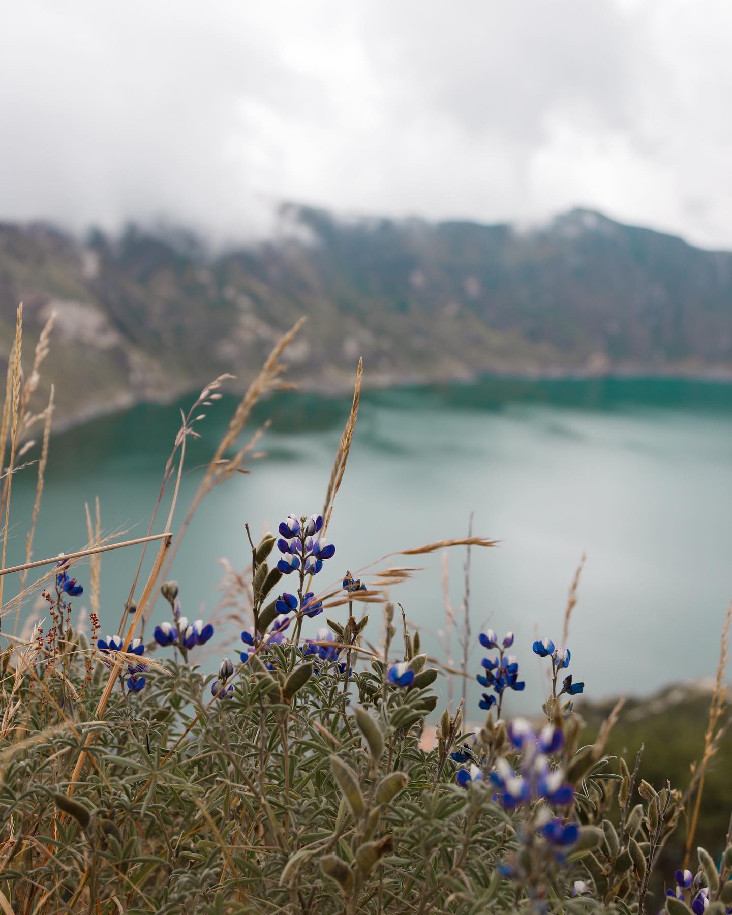 Quilotoa Lagoon view